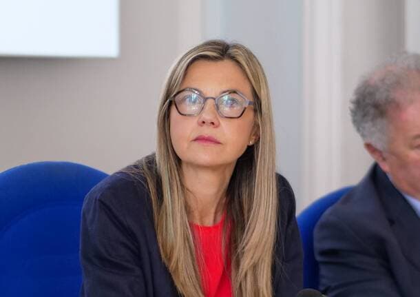 Varese - Sicurezza a Varese, Gadda (Iv) attacca il centrodestra: «Vergogna, speculano sui sindaci ma al governo non fanno nulla» -  - Varese News