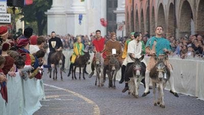 Martinengo, accuse incrociate sul Palio degli Asinelli sospeso