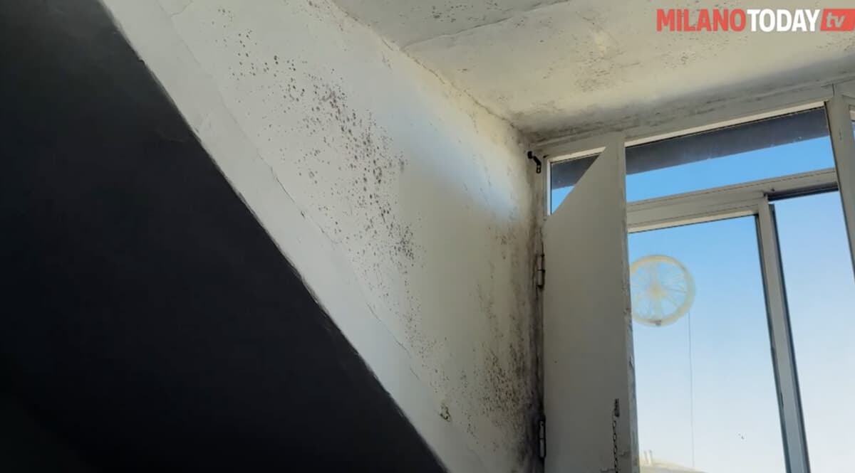 Affittano una soffitta pignorata a 700 euro al mese, ora Hira ha l'alloggio Sat: "Abbiamo pagato anche l'agenzia immobiliare"