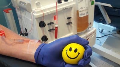 In estate donazioni in calo. Avis: «Ma il sistema tiene»
