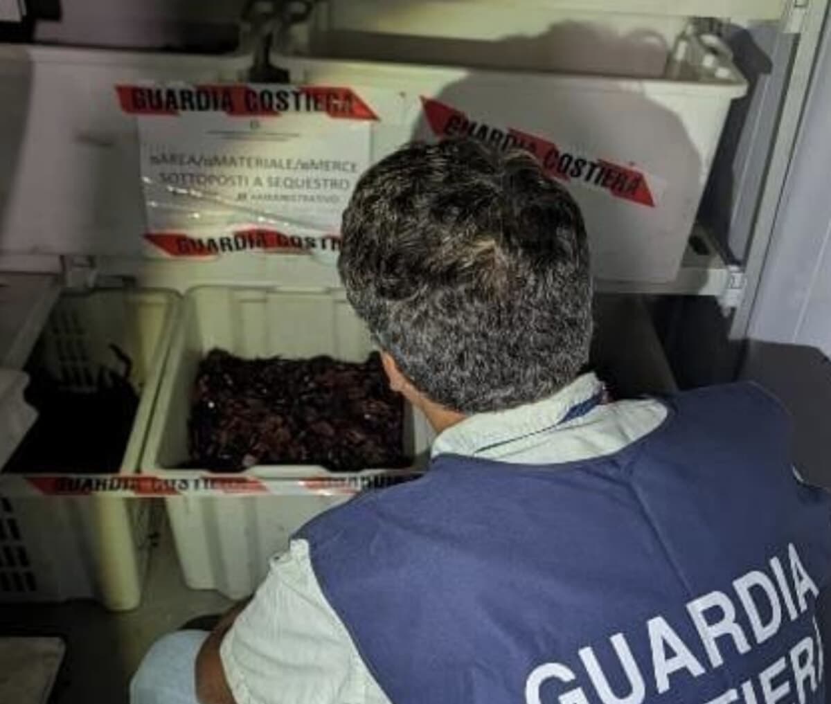 Gambero killer nell'acquario del ristorante e pesce fuorilegge: blitz della Guardia Costiera a Milano