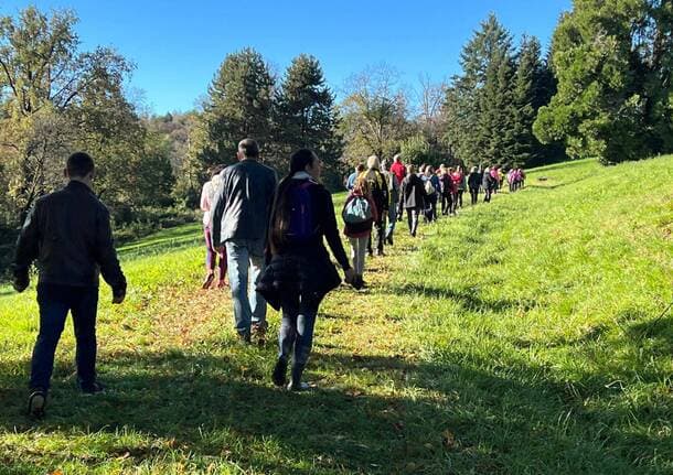 Gerenzano - La Camminata con i CorSalus a Gerenzano chiude il Circuito podistico dei Mughetti - Archivio - Varese News