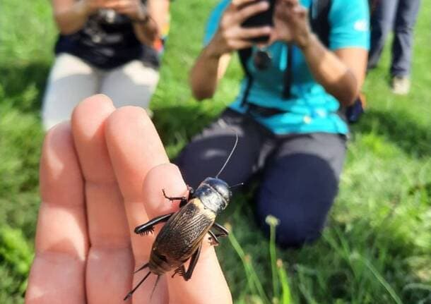 Varese - Comunicare natura e ambiente: al via le iscrizioni al Master dell’Università dell’Insubria -  - Varese News