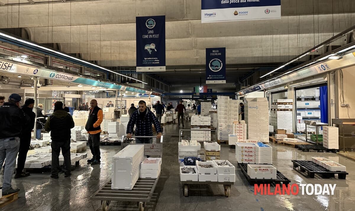 Dentro al mercato di Milano che fattura 100 milioni all'anno