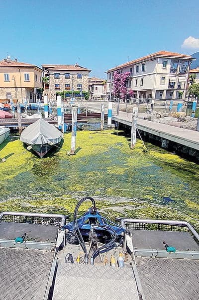 Caldo fino a 35 gradi. E al lago le alghe arrivano in largo anticipo