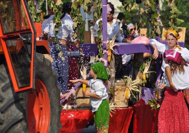 Angera - Dai calici ai carri allegorici: ad Angera torna la Festa dell’Uva, erede di una tradizione secolare - Archivio - Varese News