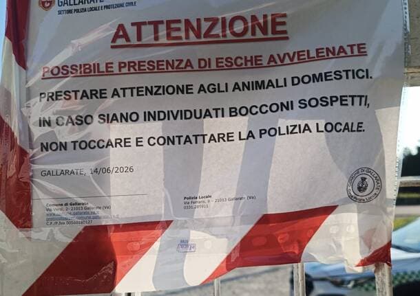 Gallarate - Sospetti bocconi avvelenati al parco cani di Ronchi di Gallarate - Gallarate/Malpensa - Varese News