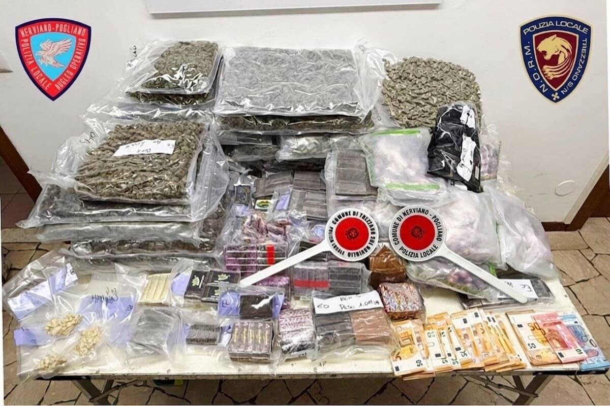 L'odore nel bagagliaio, l'hashish nel freezer e il blitz in azienda: come un normale controllo nel Milanese ha fatto scoprire 60 chili di droga