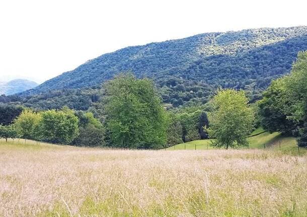 Cadegliano Viconago - Sei chilometri lungo la Via Francisca per la camminata della salute a Cadegliano Viconago -  - Varese News