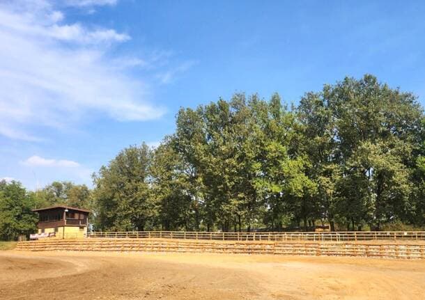 Ceriano Laghetto - Larice e massi di fiume per consolidare il terrapieno del crossodromo di Ceriano Laghetto - Saronno/Tradate - Varese News
