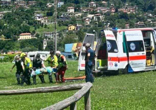 Dumenza - Schiacciato dalla pianta che stava tagliando, giovane ferito a Dumenza -  - Varese News