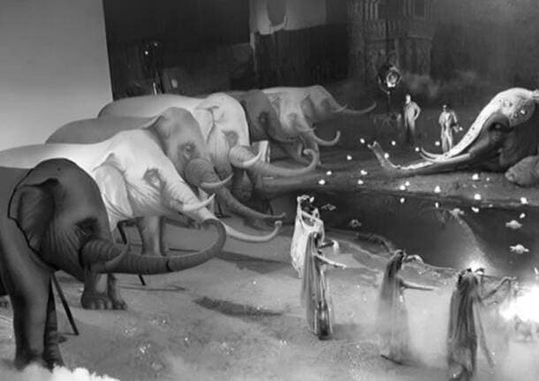 Materia - A Materia un viaggio tra gli animali fantastici di Federico Fellini -  - Varese News