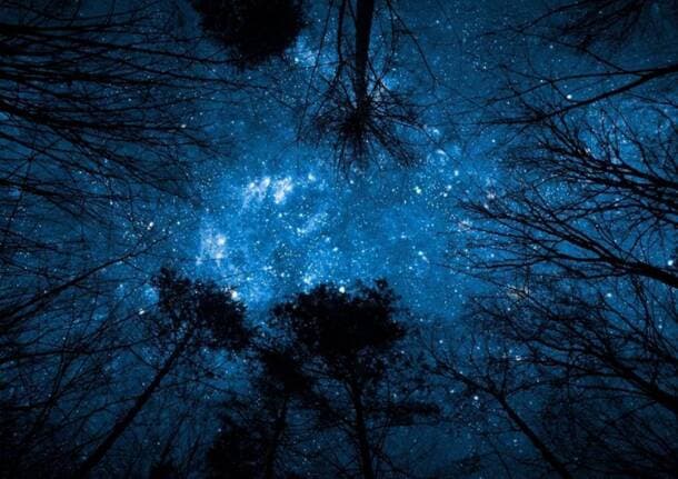 Cesano Maderno - “Notte delle Stelle” all’Oasi Lipu di Cesano Maderno tra natura e cielo d’agosto - Archivio - Varese News