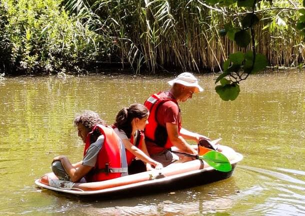 Malnate - Analisi all’Area Umida di Gurone: al via i monitoraggi del progetto Sintab -  - Varese News