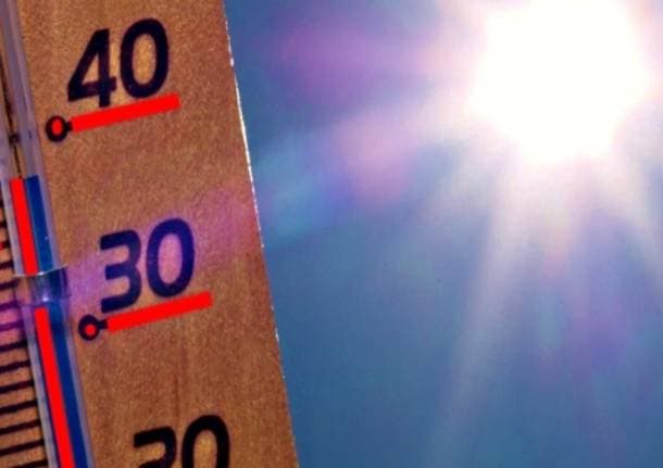 Saronno - Alberi, rifugi climatici e lotta all’inquinamento: Saronno Civica presenta il piano per contrastare i cambiamenti climatici in città - Archivio - Varese News