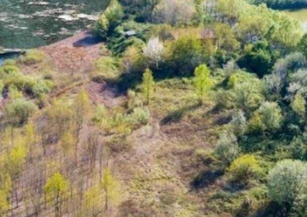 Mariano Comense - Il Parco delle Groane si racconta a Mariano Comense: incontro pubblico su ambiente, boschi e volontariato - Lombardia - Varese News