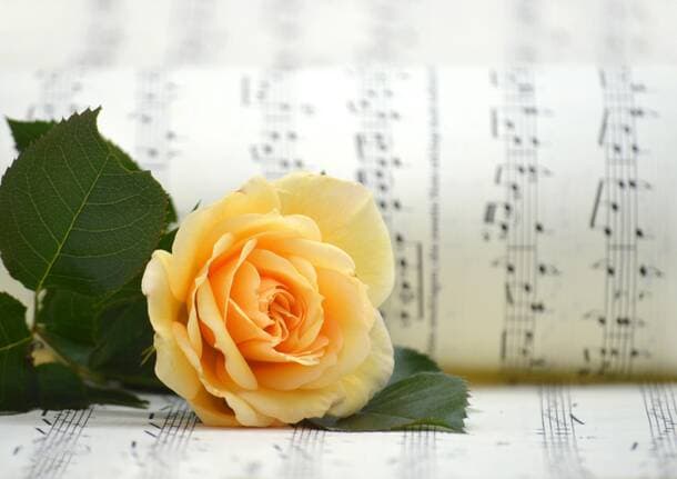Eventi - A Castellanza un viaggio nel mondo della fantasia e delle fiabe per il Concerto d’Estate della banda Santa Cecilia - Archivio - Varese News