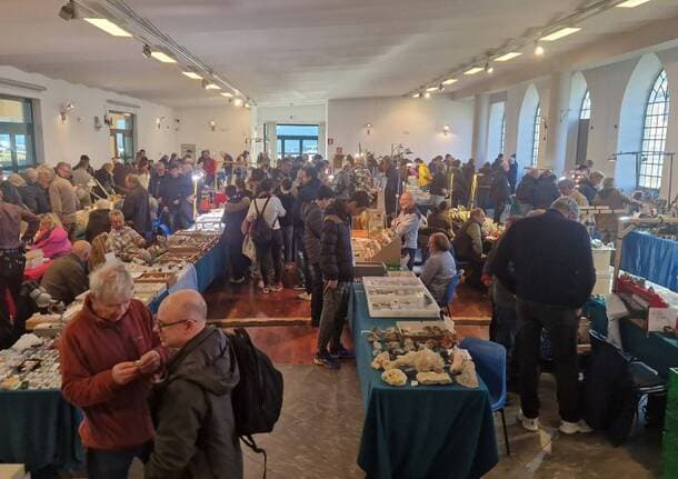 Busto Arsizio - Minerali e fossili, 43 anni di successi: la “borsa scambio” dei Naturalisti Bustesi richiama pubblico da tutta Italia -  - Varese News