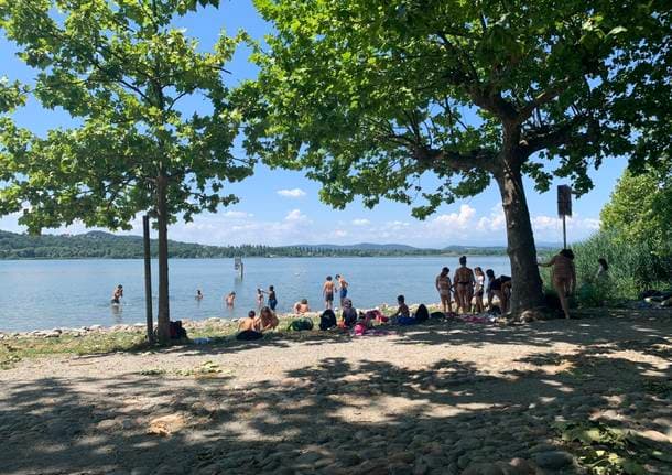 Varese - Il Lago di Varese torna balneabile per l’estate 2026 alla Schiranna e a Bodio -  - Varese News