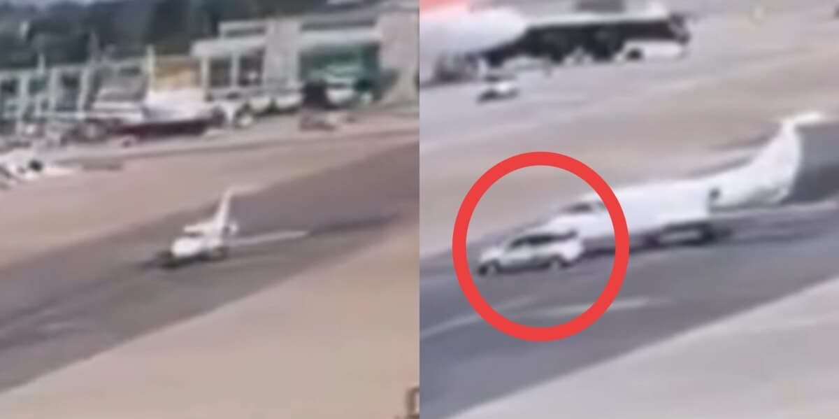 Panda contro un jet a Linate: il video dello schianto all'aeroporto