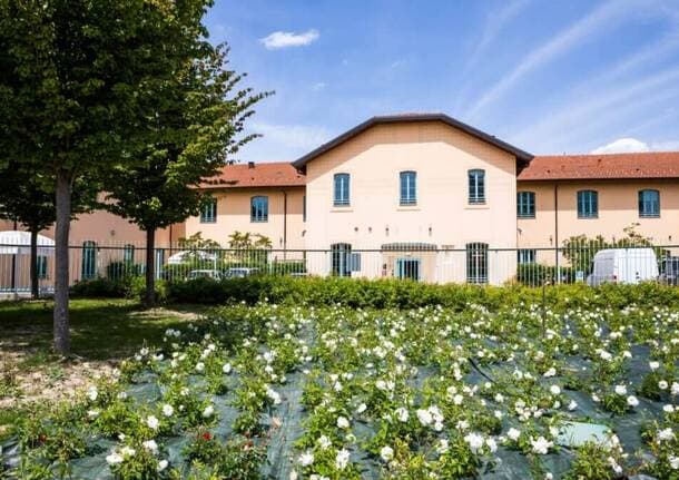 Varese - Fondazione Renato Piatti presenta il Bilancio Sociale 2025: venticinque anni di cura -  - Varese News