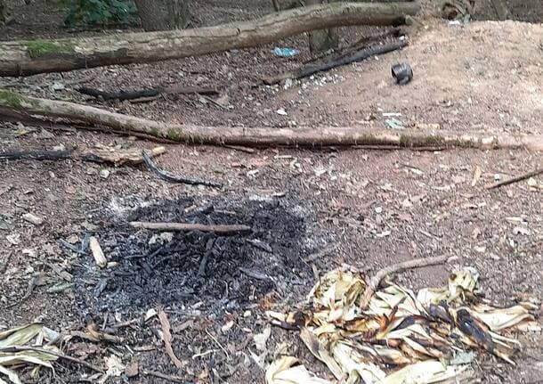 Gerenzano - Falò nel bosco di San Giacomo a Gerenzano: il Parco dei Mughetti richiama al divieto assoluto di accendere fuochi - Archivio - Varese News