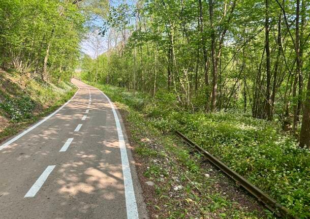 Mobilità - Auto, treno, bici o a piedi: come vi muovete ogni giorno? -  - Varese News