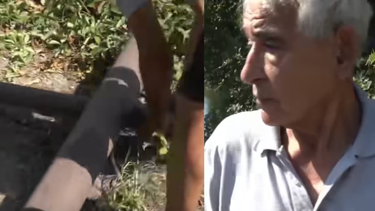 Incidente a Senago, l'appello disperato di un signore: "Ragazzi state attenti, fate guidare uno che non ha bevuto e andate piano"