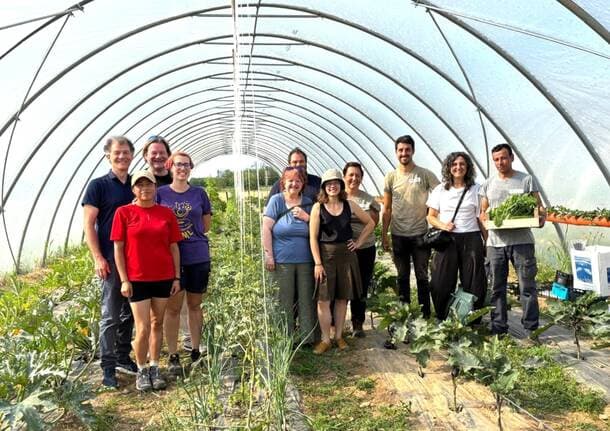 Saronno - Il Campo di Oz entra nel vivo: a Saronno ortaggi a chilometro zero, inclusione e sostenibilità - Saronno/Tradate - Varese News