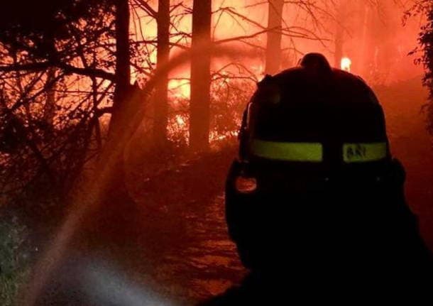 Gerenzano - Caldo e siccità, il Parco dei Mughetti invita alla massima attenzione: il rischio incendi è molto elevato - Archivio - Varese News
