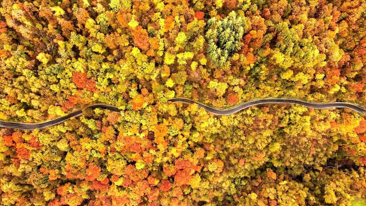 Mille sfumature d'autunno, idee per la nuova stagione in arrivo