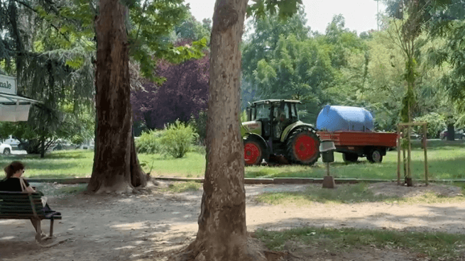 Caldo record a Milano, in piazzale Libia un trattore porta acqua per gli alberi più piccoli