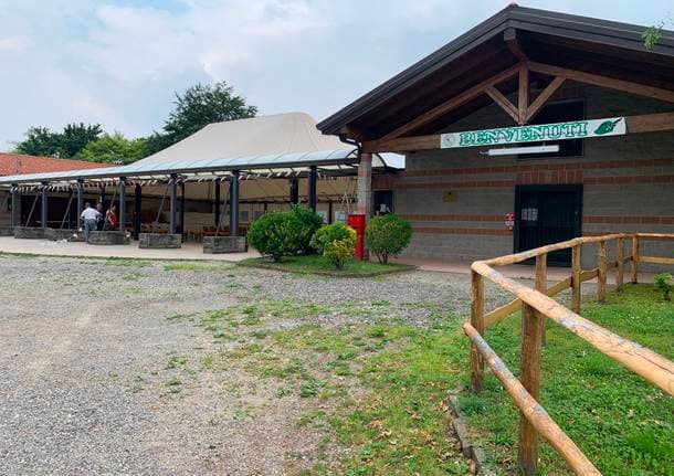 Arcisate - Musica e solidarietà ad Arcisate con la festa estiva di Medici con l’Africa -  - Varese News