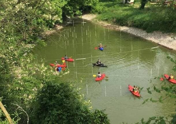 Tempo Libero - Sport di pagaia e natura: a Sesto Calende e Cuggiono arriva “Natura e Movimento” - Tempo libero - Varese News