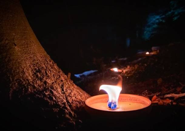 Varese - Alla Rasa di Varese torna la Lanternata Synergie: una passeggiata nel bosco tra musica, lanterne e giochi -  - Varese News