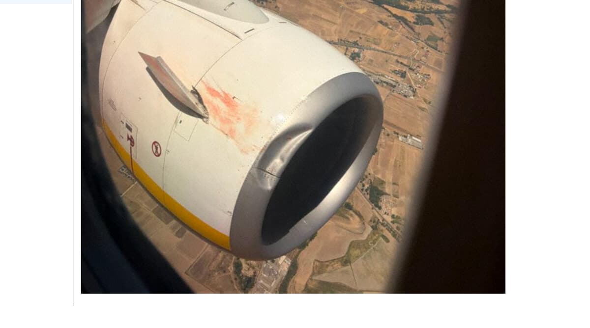 Colpito un avvoltoio: Boeing Ryanair per Malpensa costretto a un atterraggio d'emergenza