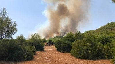 Trevigliesi in Puglia: «Sfollati per il rogo, paura ma torneremo»