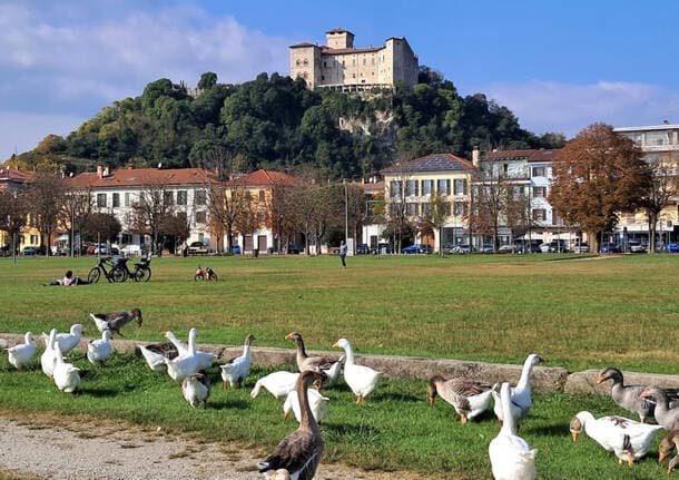 Angera - Dal tango in riva al lago alla Festa dello Sport: tutte le iniziative del fine settimana ad Angera - Archivio - Varese News