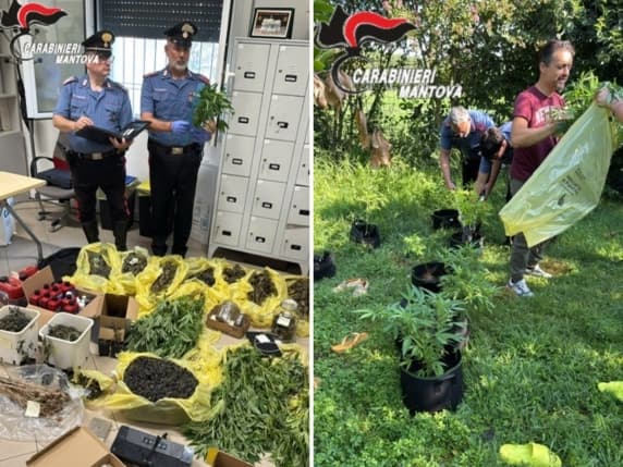 Mantova, appicca un incendio, i carabinieri lo rintracciano e in casa trovano una serra per la coltivazione di marijuana. Ne sequestrano 3 chili