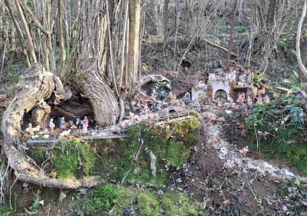 Lozza - I “presepi spontanei” nel bosco di Lozza - Varese Laghi - Varese News