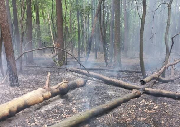 Solaro - Doppio incendio nel Parco delle Groane a Solaro e Cesate. L’appello: «Massima prudenza» - Econews - Varese News
