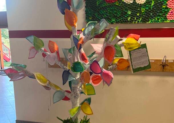Cassano Magnago - Un albero di colori accoglie le famiglie: a Cassano il messaggio della scuola oltre i voti - Gallarate/Malpensa - Varese News