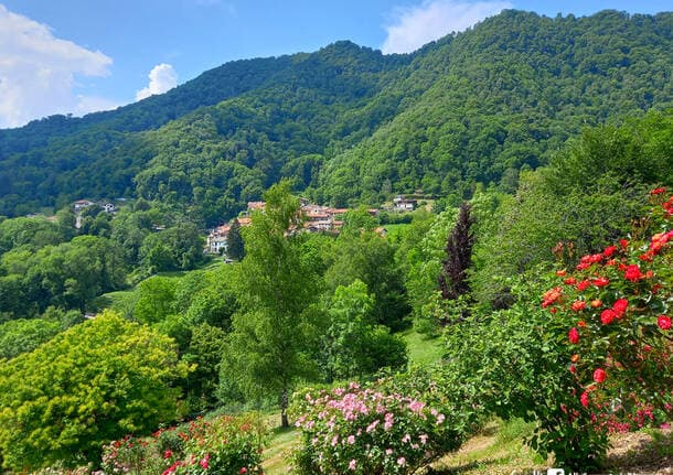 Laveno Mombello - Da Laveno a Vararo per “Due passi in compagnia” -  - Varese News