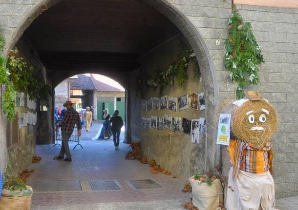 Ceriano Laghetto - A Ceriano Laghetto l’autunno porta la Festa dei cortili tra sapori, musica e tradizioni - Archivio - Varese News