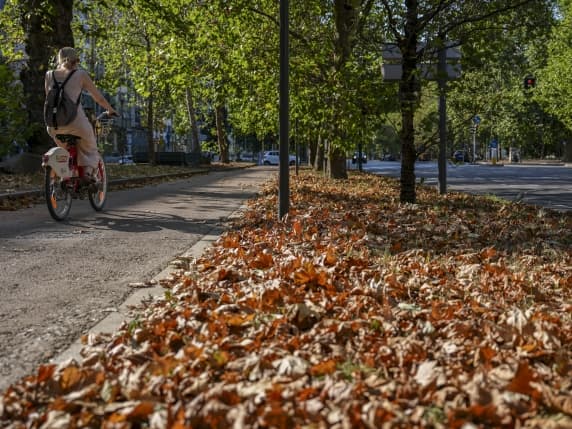 Milano, l'assessora Grandi: «Per salvare gli alberi sfiancati usiamo 30 autobotti, ma servono nuove specie adatte al caldo tropicale»