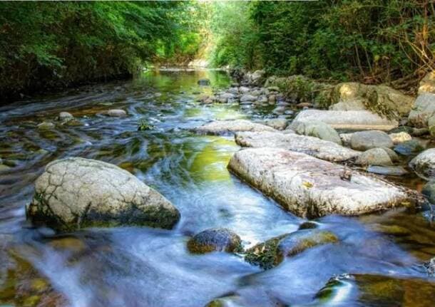 Ambiente - Riverlhab, il progetto transfrontaliero che punta a rigenerare il torrente Lura e il suo territorio -  - Varese News
