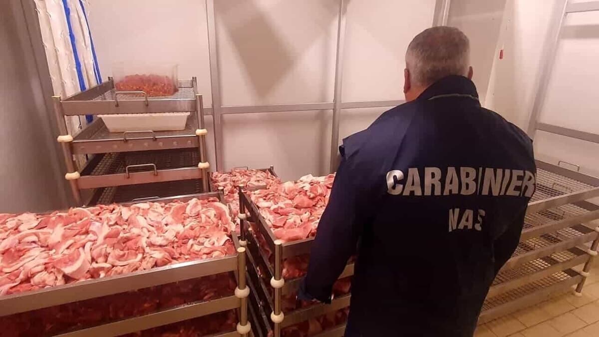 Droga tra i banchi della macelleria islamica: smantellata rete dello spaccio in tutto il Nord Italia