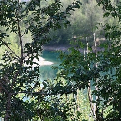 Caldo e poca acqua, per bagnare i campi si «pesca» nelle cave della Bassa