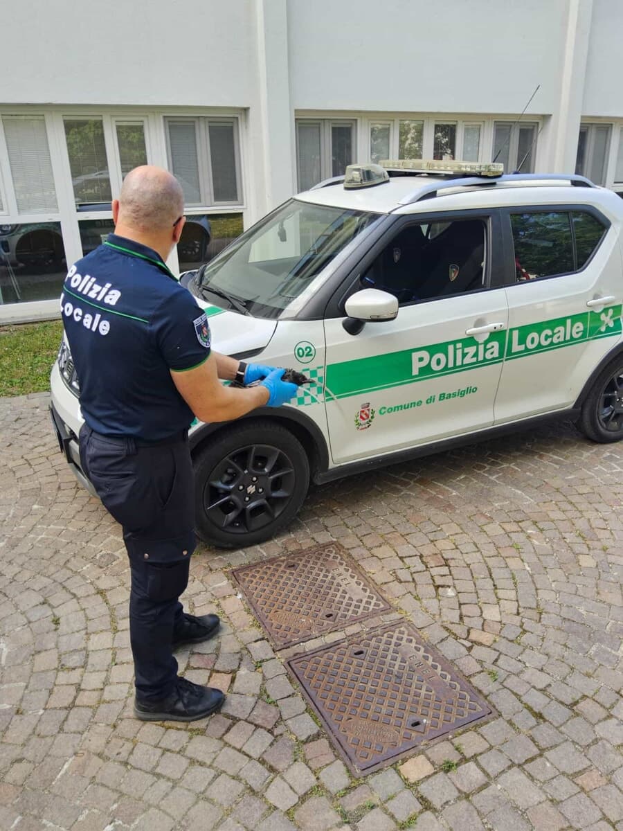 Picchia la fidanzata: le lancia un vaso in testa e le rovescia addosso caffè bollente