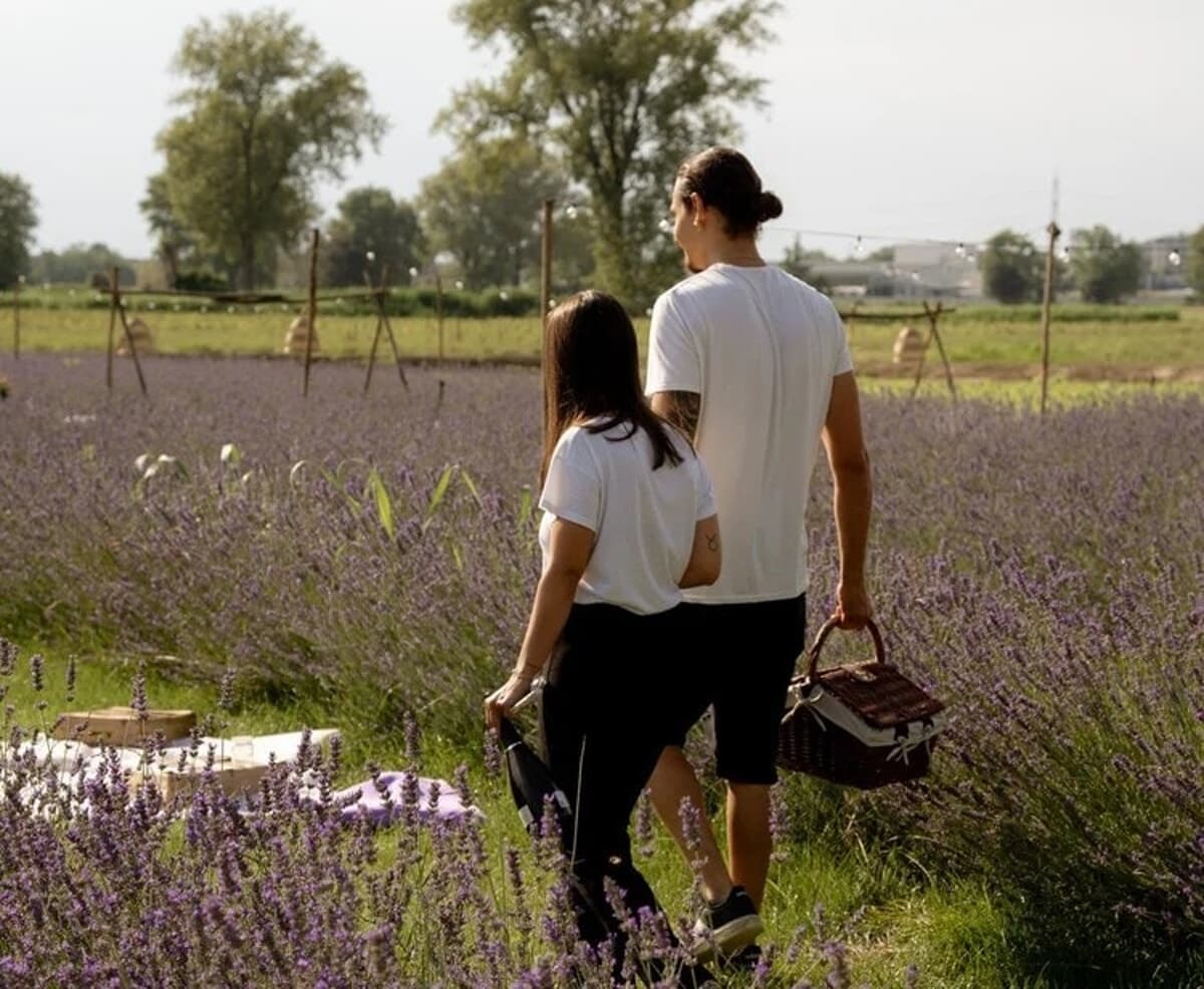 Alla Cascina Pizzo è tempo di picnic tra i campi di lavanda